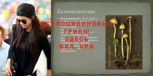 сатива Алексин