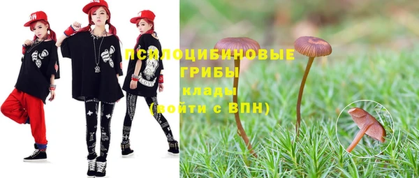 хмурый Саяногорск